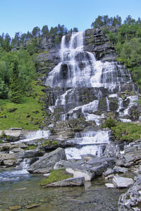 Scenic view of waterfall in forest