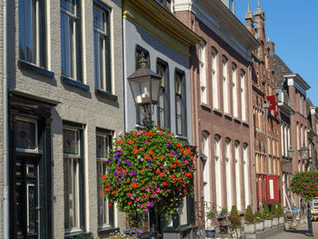 Doesburg in the netherlands