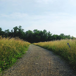 Empty road along plants and trees against sky