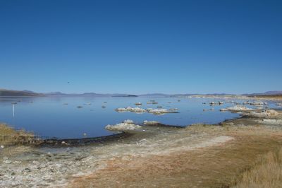 Scenic view of sea against clear blue sky