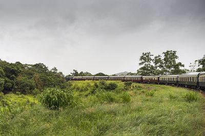 Kuranda railway passing through robb reserve in queensland australia 