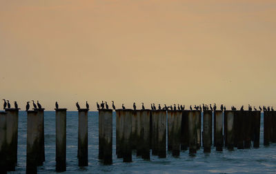 Birds perching on wooden post by sea against sky during sunset