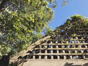 Low angle view of trees against building