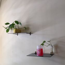 Potted plant on table against wall