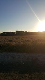 Scenic view of field against sky during sunset