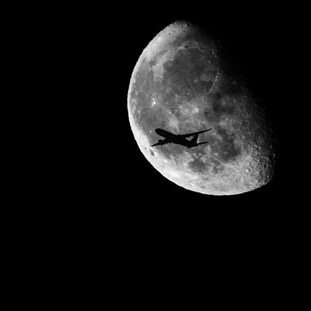 moon, night, space, astronomy, sky, copy space, flying, moon surface, full moon, nature, animal, animal themes, one animal, animal wildlife, air vehicle, planetary moon, vertebrate, no people, low angle view, dark, black background, moonlight