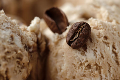 Close-up of coffee beans