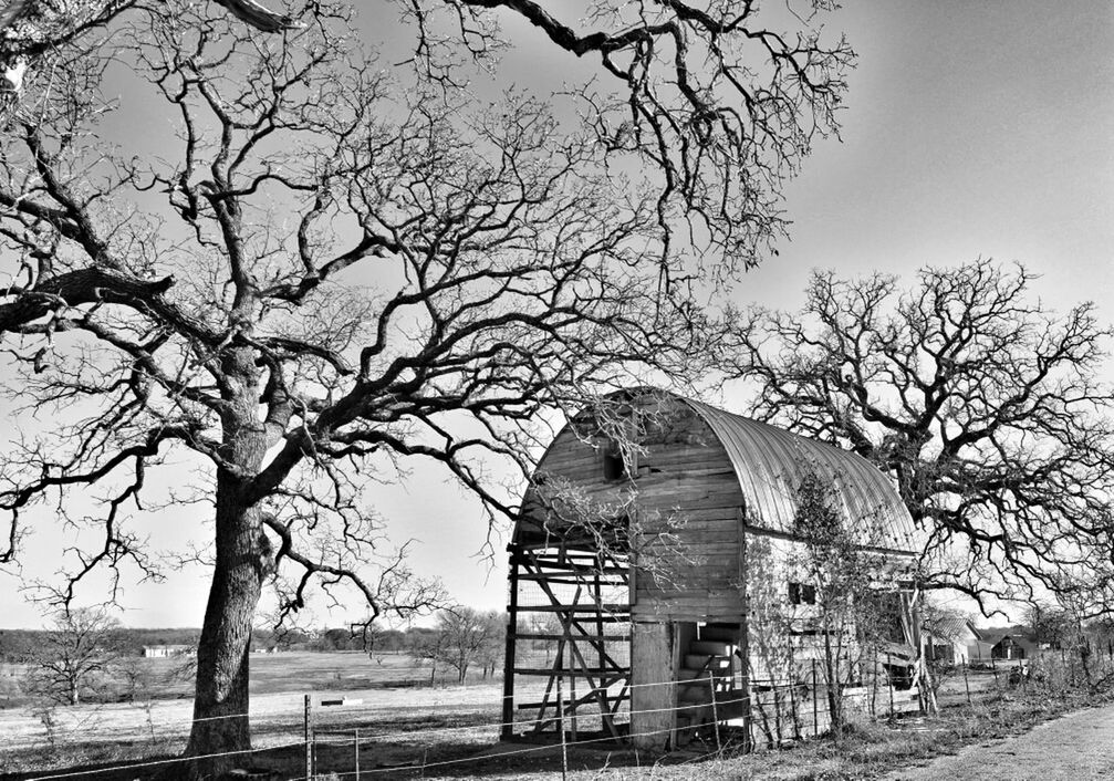 bare tree, tree, built structure, architecture, branch, sky, building exterior, old, day, abandoned, clear sky, outdoors, tranquility, nature, field, no people, fence, bench, empty, absence