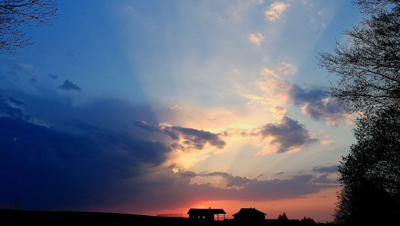 sunset, sky, cloud - sky, nature, beauty in nature, low angle view, scenics, no people, tree, outdoors