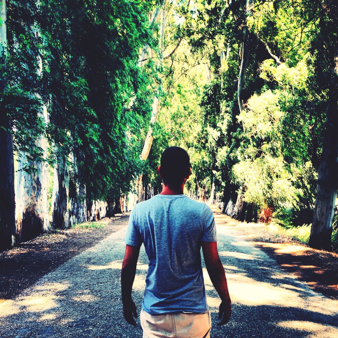 rear view, tree, men, lifestyles, walking, full length, the way forward, casual clothing, leisure activity, person, road, street, footpath, sunlight, day, nature, tree trunk