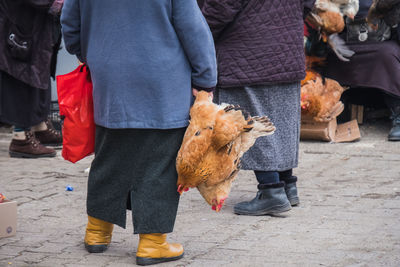 Low section of people standing on footpath by street