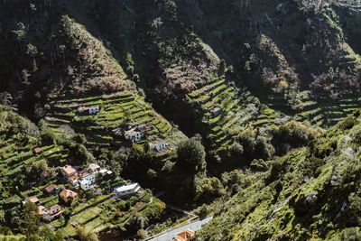 High angle view of trees on landscape