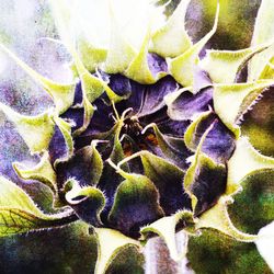 Full frame shot of green leaves