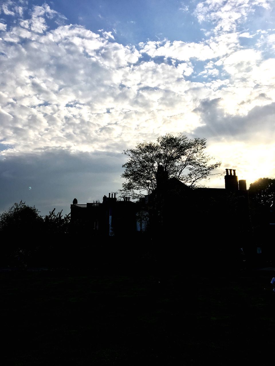 SILHOUETTE TREE ON FIELD AGAINST SKY