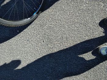Low section of shadow on road