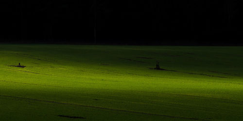 Scenic view of field against sky at night