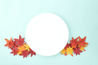 Autumn leaves on table against clear sky