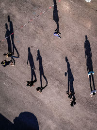 High angle view of people walking on road