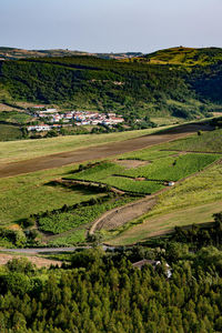 Landscapes of arruda dos vinhos - portugal