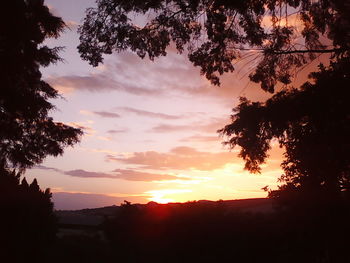 Silhouette trees against sky during sunset