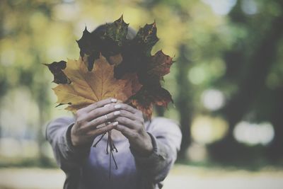 Close-up of woman holding autumn tree