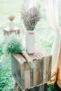 Close-up of potted plant on table
