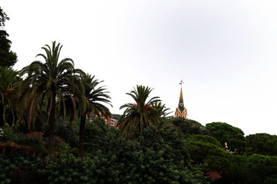 Low angle view of palm trees against sky