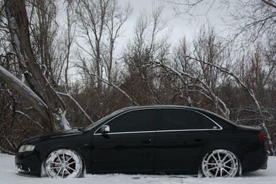 Car parked against bare trees