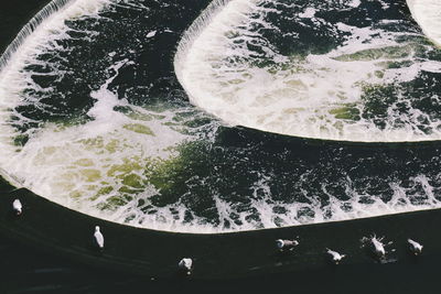 High angle view of wave in water