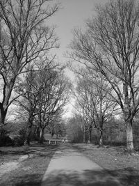 Road amidst trees against sky