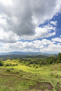 Scenic view of landscape against sky