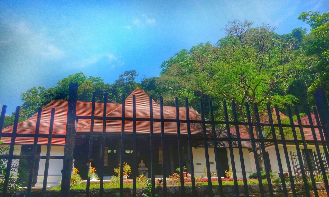 tree, sky, built structure, architecture, building exterior, low angle view, cloud - sky, blue, cloud, outdoors, day, palm tree, no people, house, growth, roof, nature, wood - material, railing, sunlight