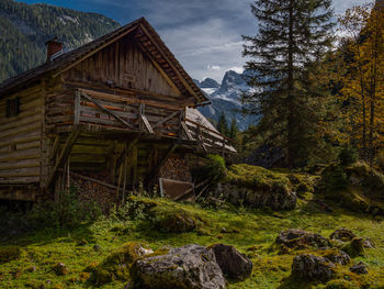 Panoramic shot of trees and houses against sky