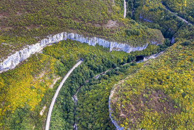 High angle view of road amidst trees in forest