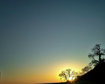 Low angle view of silhouette trees against clear sky