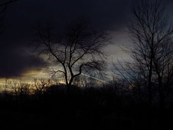 Silhouette bare trees against sky during sunset