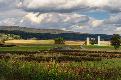 Scenic view of field against sky