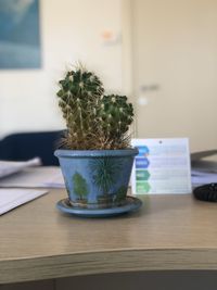 Potted plants on table at home