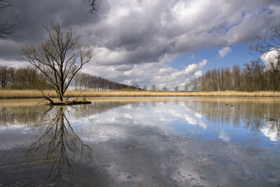 Scenic view of lake against sky