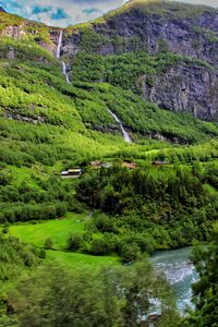 scenics - nature
