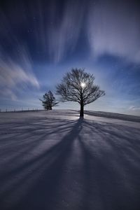 Silhouette bare tree on snow covered landscape against sky at night