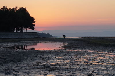 Silhouette person on beach against sky during sunset