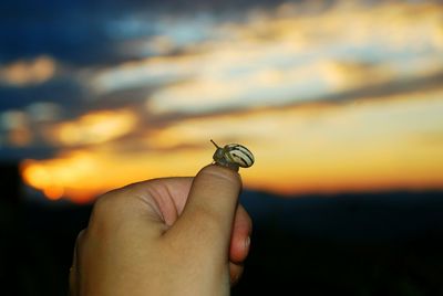 Close-up of person holding hand against sky during sunset