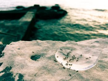 High angle view of cigarette on beach