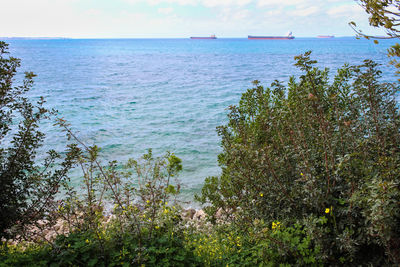 Scenic view of sea against sky