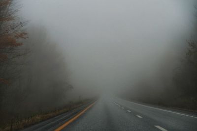 Empty road along trees