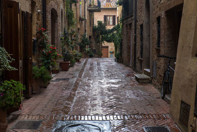 Lane in old town of pienza with cobblestones.
