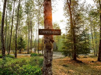 Information sign on tree trunk in forest