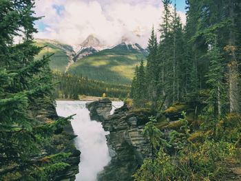 Scenic view of trees and mountains against sky