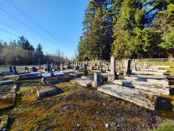 cemetery